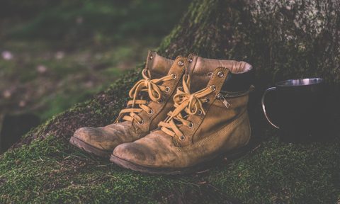 Leather boots sitting on a tree root