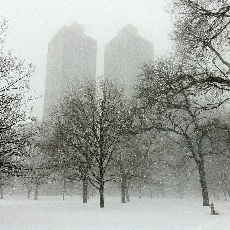 Chicago in a park during a winter blizzard with ice-covered trees and people walking on a snow-covered sidewalk.