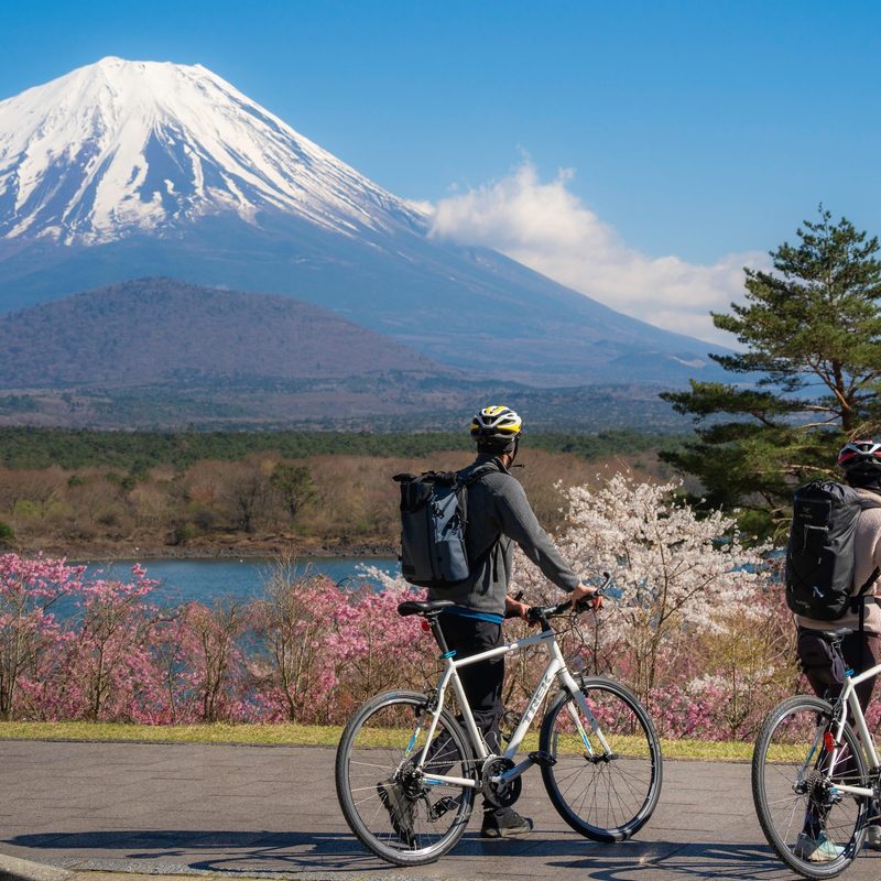 Cycling tourists looking at mt. Fuji during spring season at Lake Shojiko, Yamanashi, Fujikawaguchiko, Japan