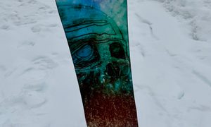 Arbor Annex Camber snowboard bottom graphics