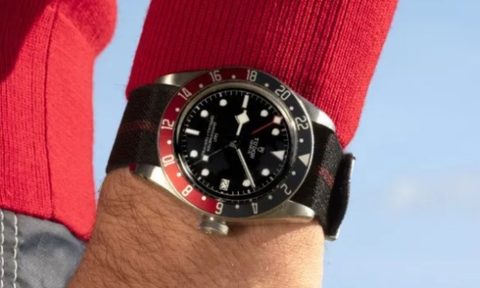 Man wearing Tudor