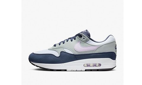 The Nike Air Max 1 on a white background.
