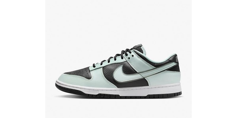 The Nike Dunk Low Retro Premium on a white background.