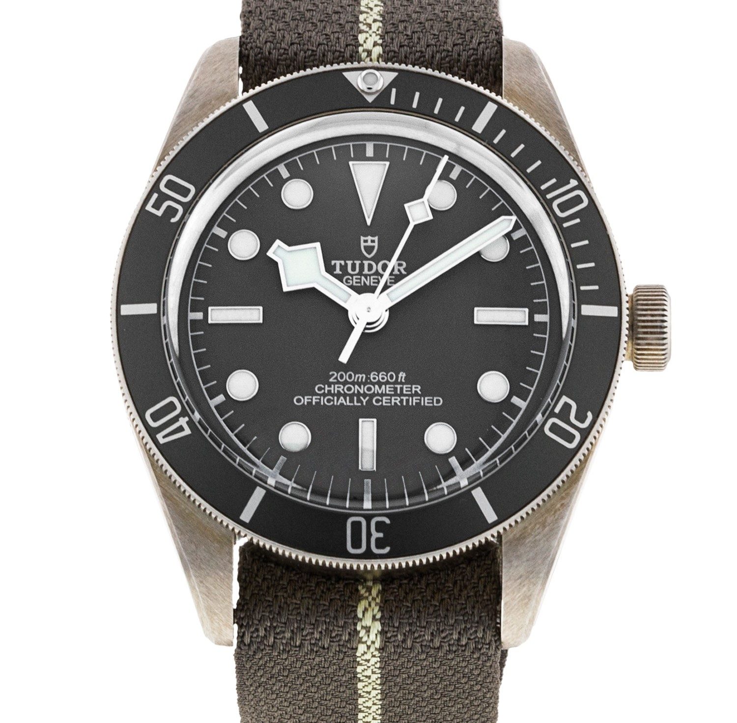 A Tudor BlackBay watch.