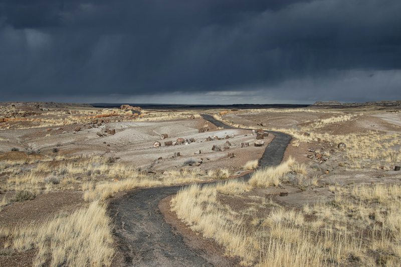 A trail along the Petrified National Park