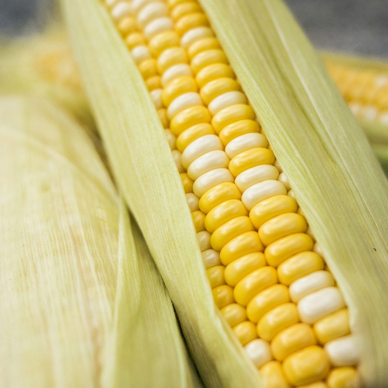 Corn