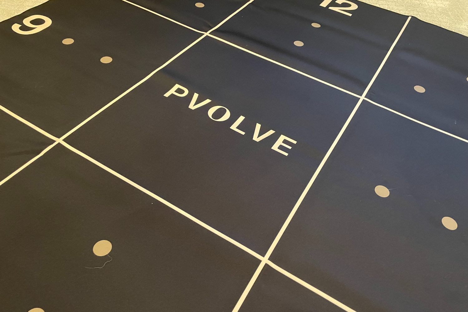 Pvolve workout mat.