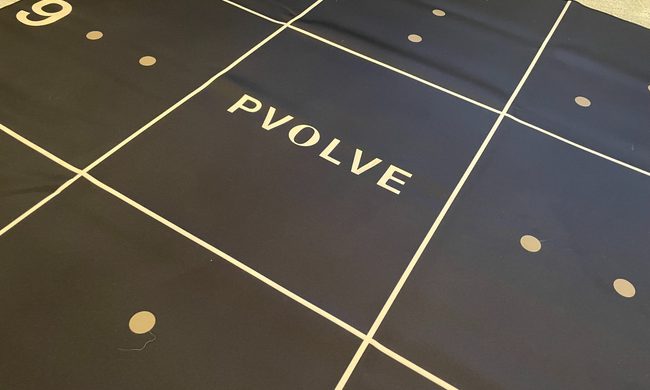 Review: Is the Pvolve online fitness program worth it? - The Manual