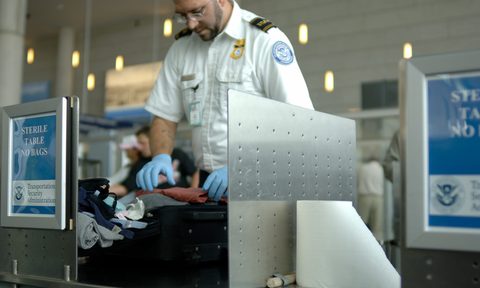 TSA Agent
