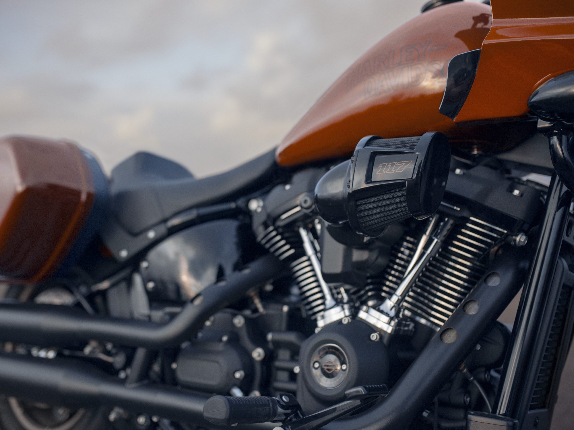 2024 Harley-Davidson Low Rider ST in Red Rock 117 V-Twin.