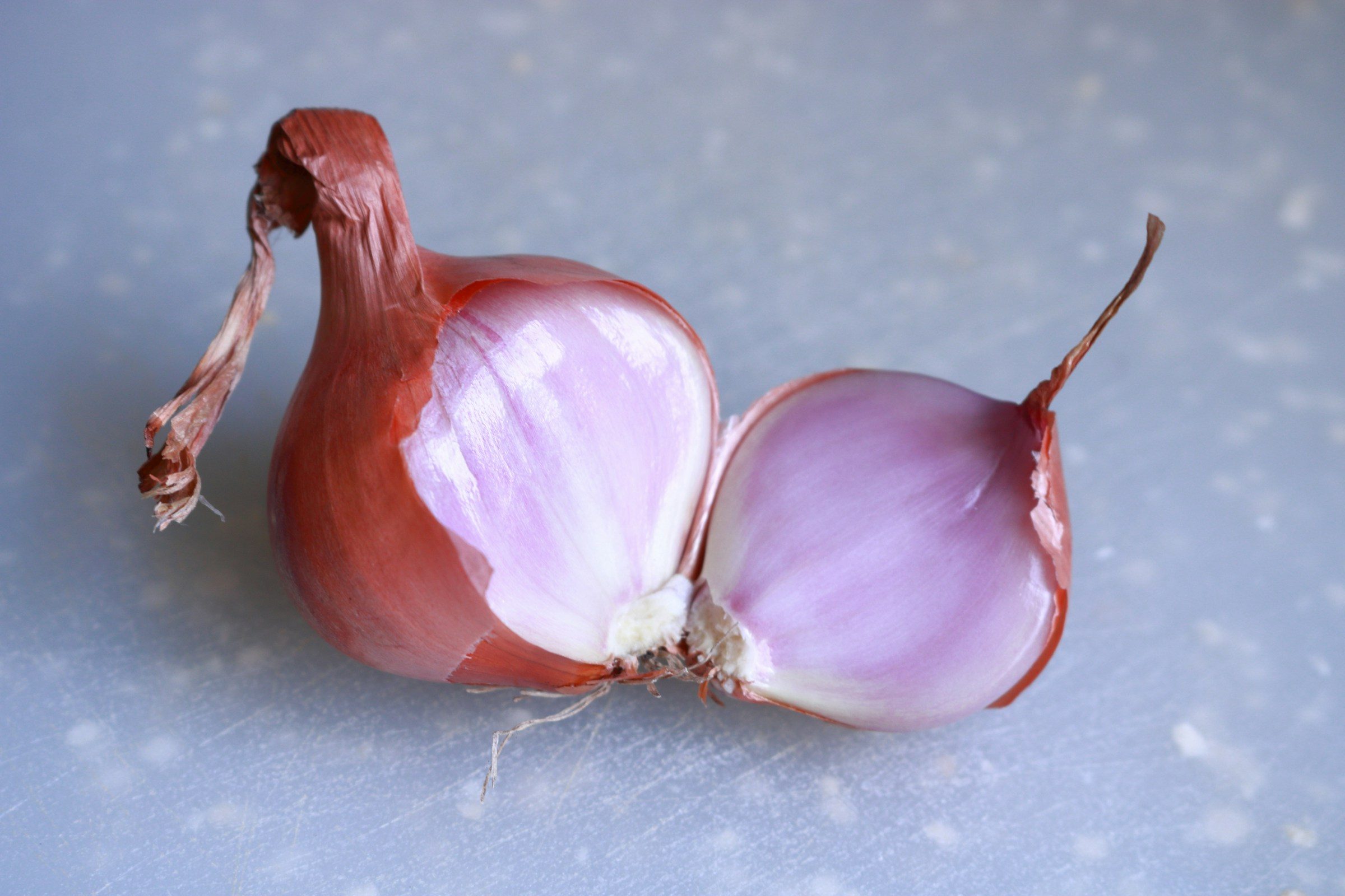 Shallot