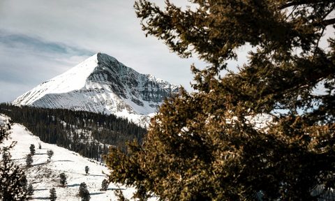 green and brown trees on snow covered mountain during daytime