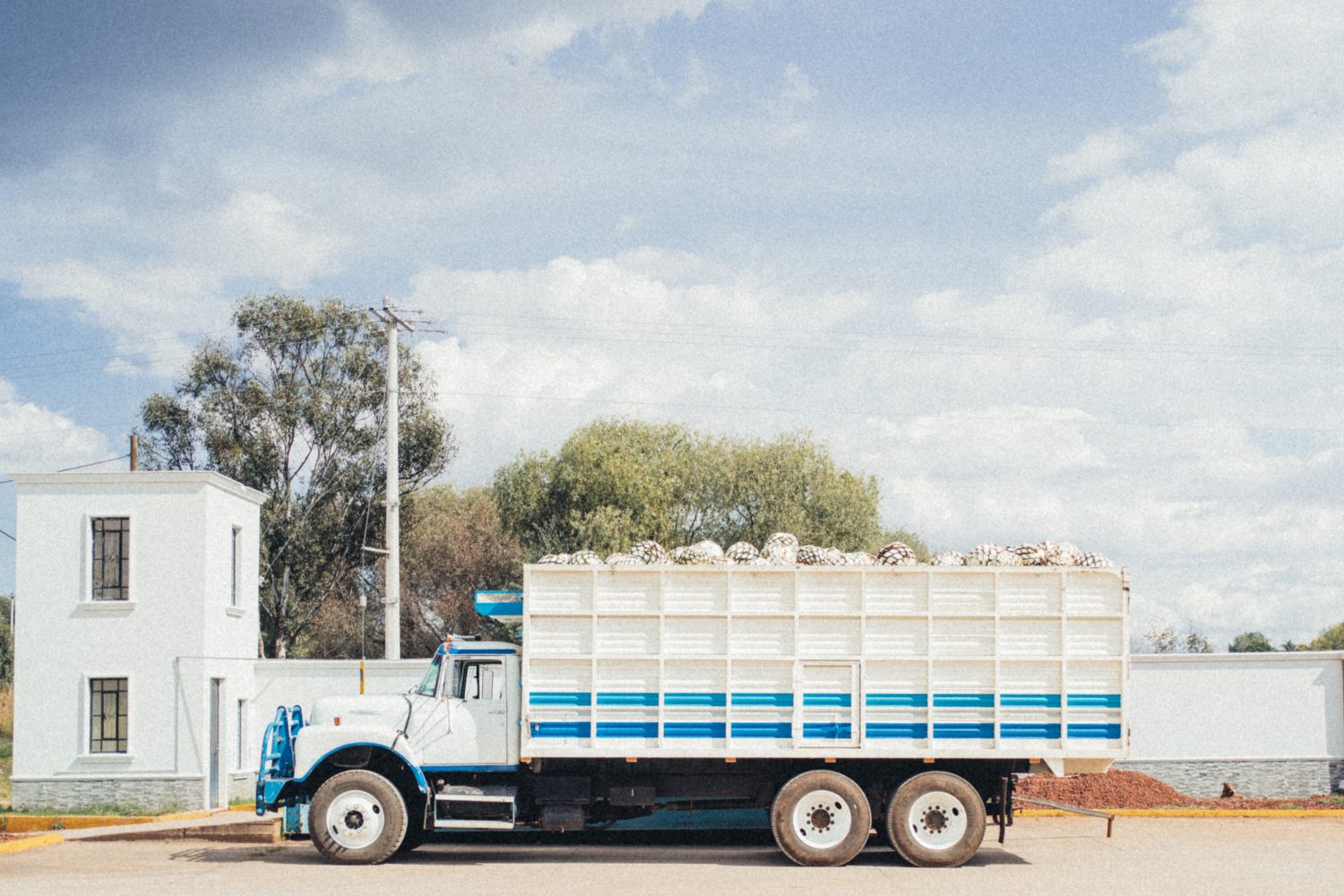 Agave delivery at El Cristiano Tequila.