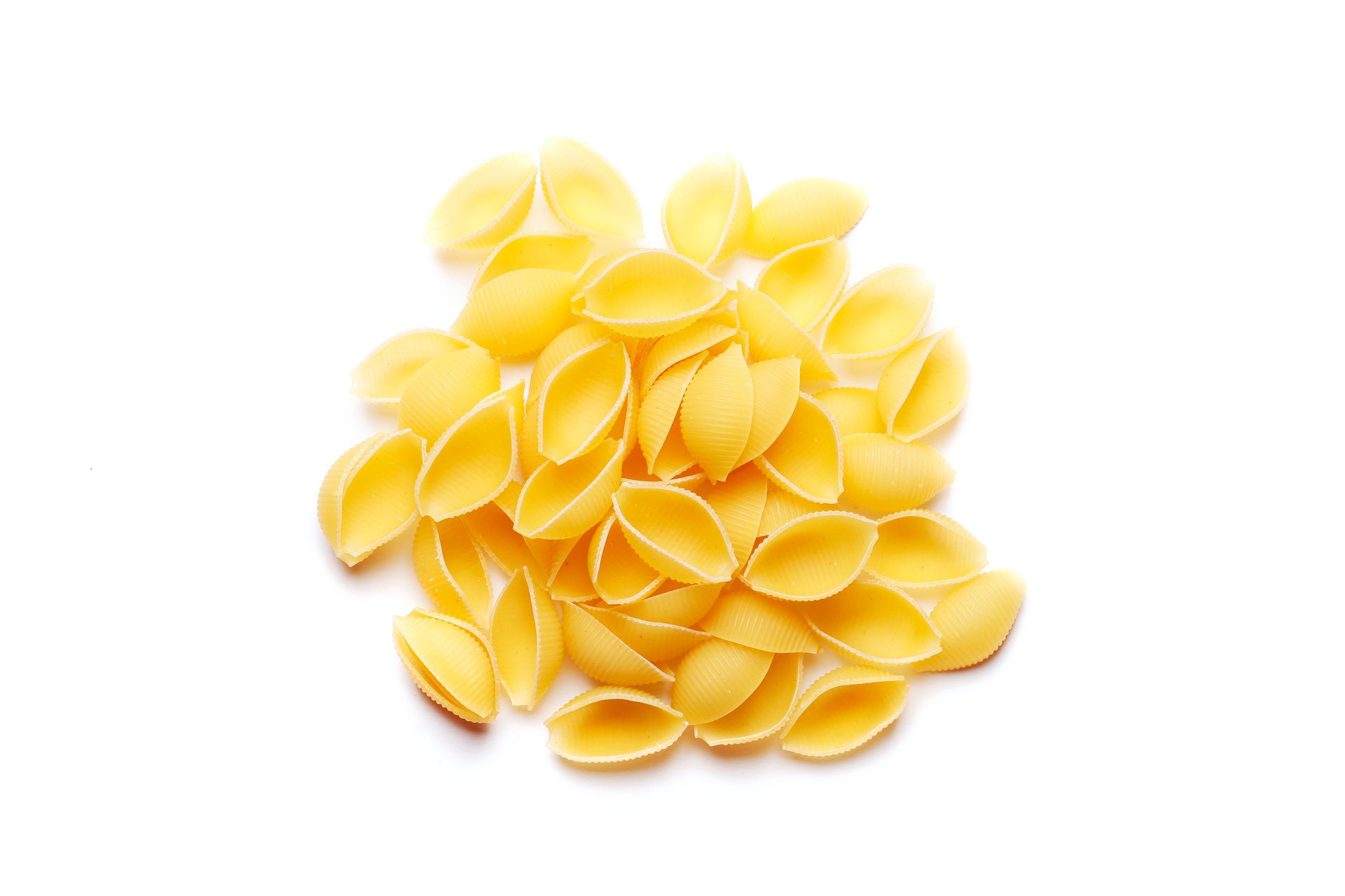 Raw pasta shells