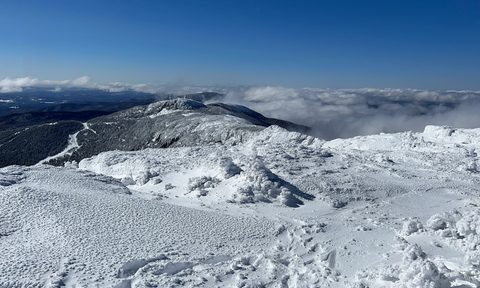 Mount Mansfield's Alpine Tundra