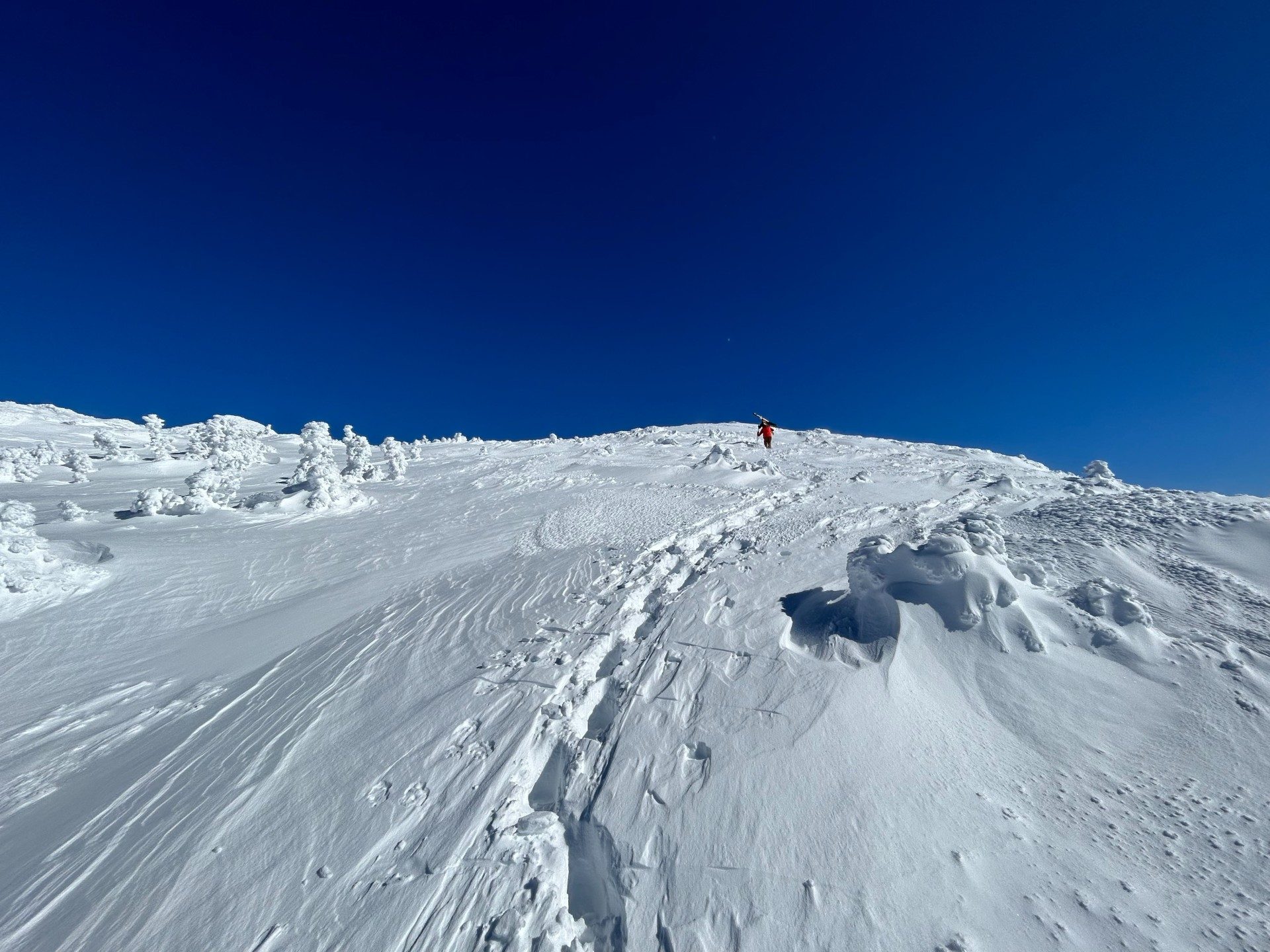 Alpine Tundra on Mount Mansfield