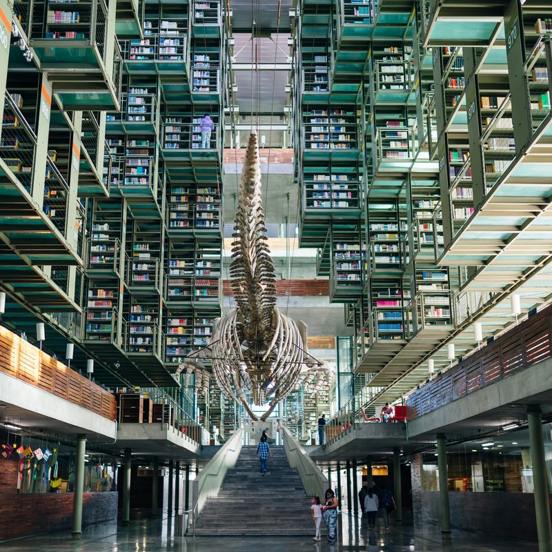 MEXICO CITY, MEXICO - may 2023 inside the Biblioteca Vasconcelos in Mexico City, Mexico. High quality photo
