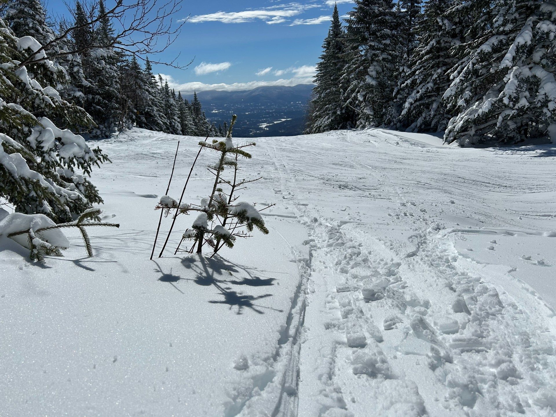 Glades exit to Chin Clip