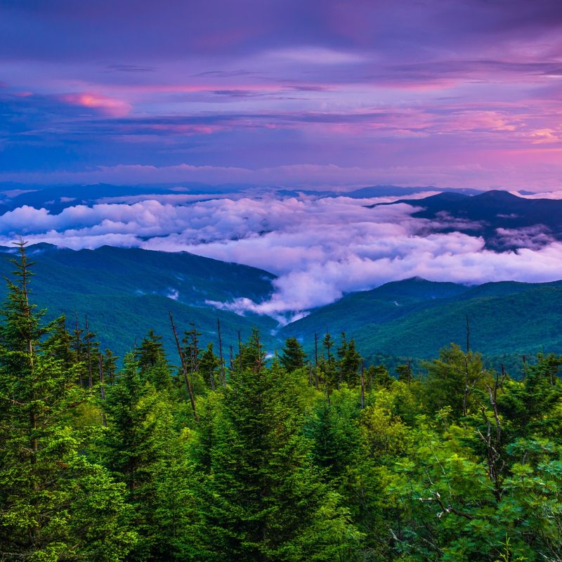 Great Smoky Mountains aerial view