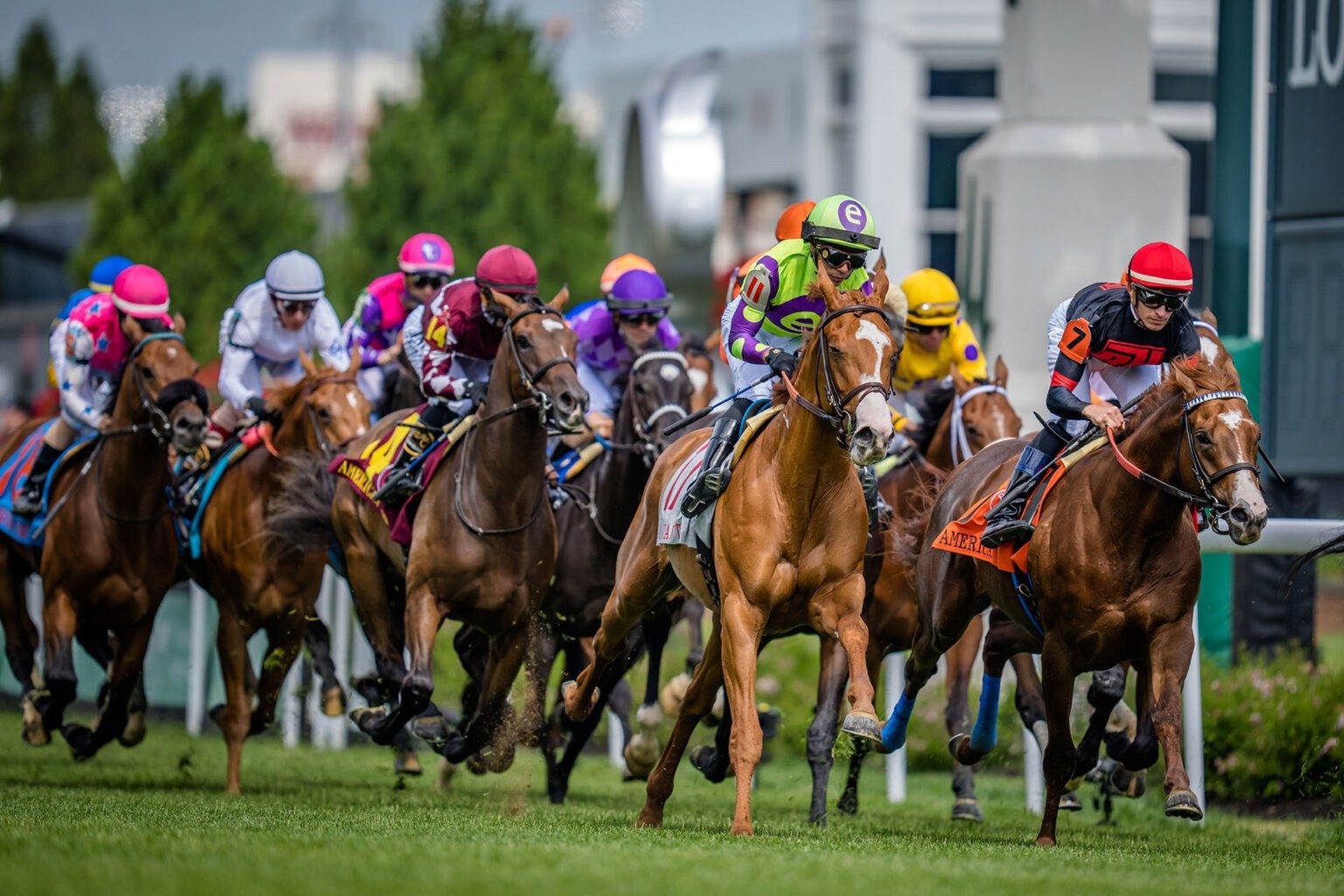 Horses racing in the Kentucky Derby