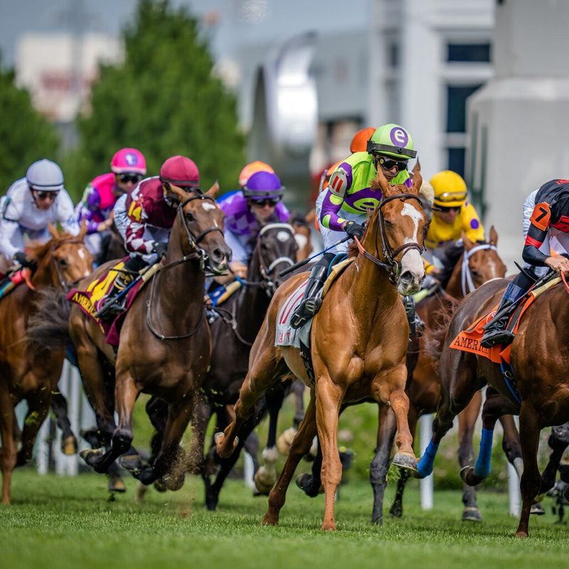 Horses racing in the Kentucky Derby