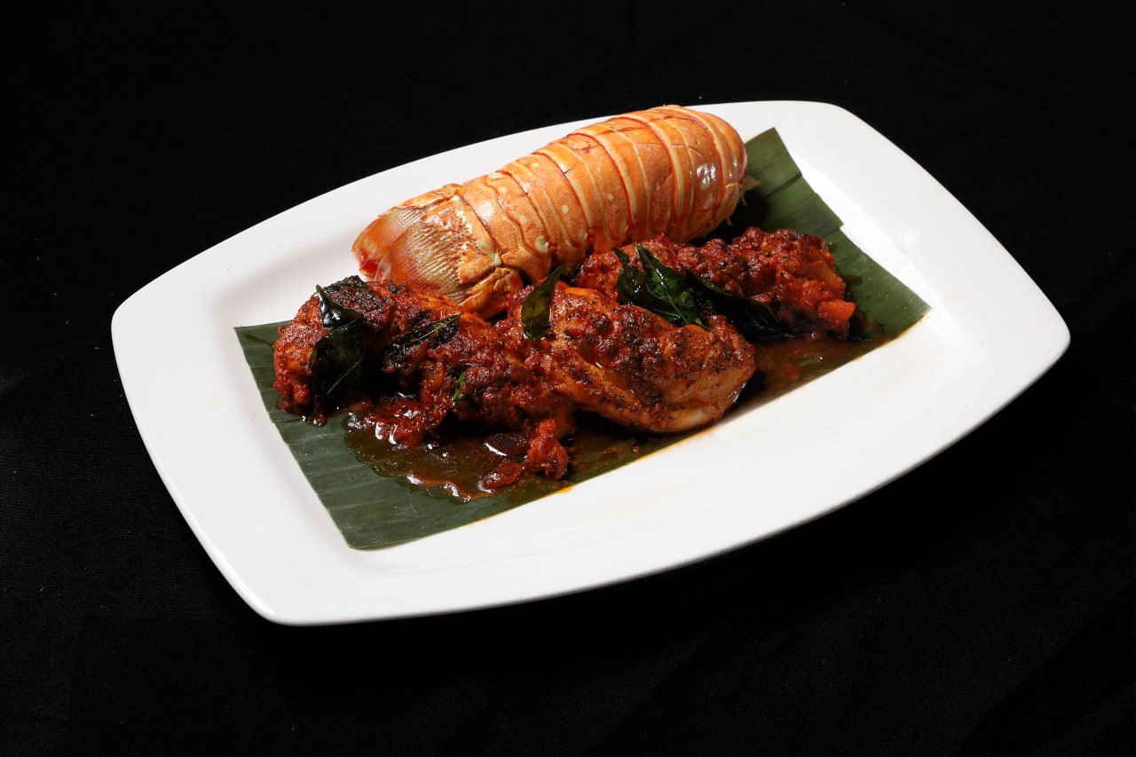 indian lobster with black background