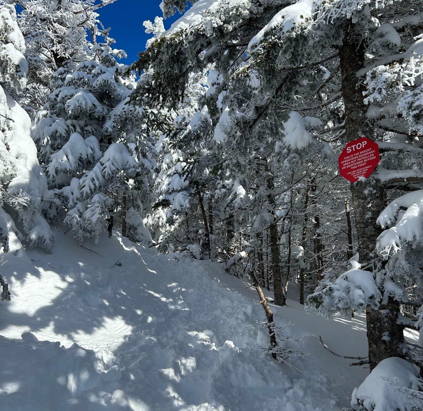 Resort boundary gate Mount Mansfield