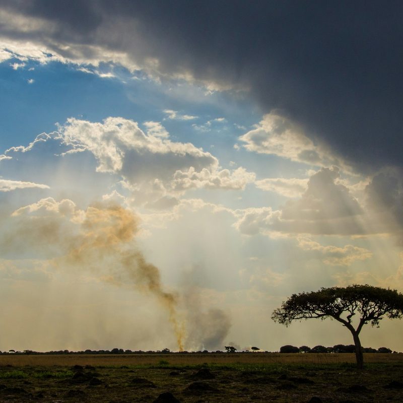 Zambia sunset in Africa
