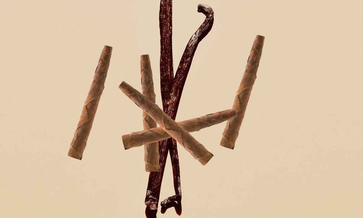 Vanilla sticks and cigars on stylish background.
