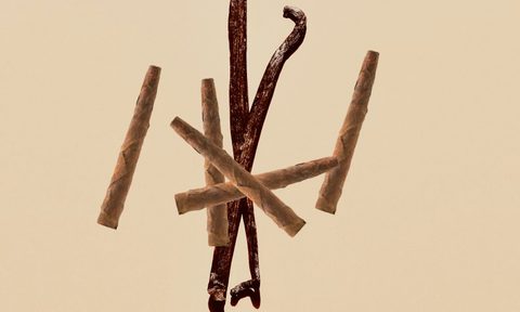 Vanilla sticks and cigars on stylish background.