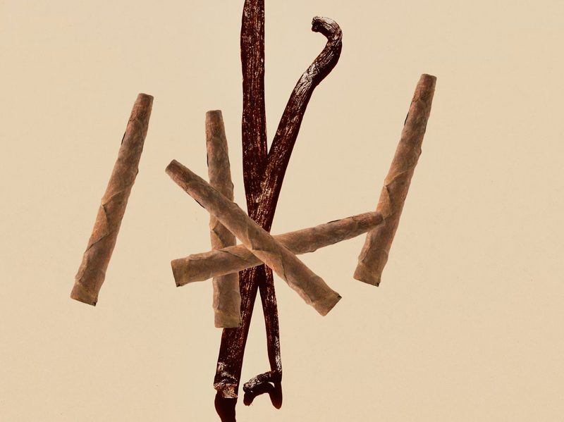 Vanilla sticks and cigars on stylish background.