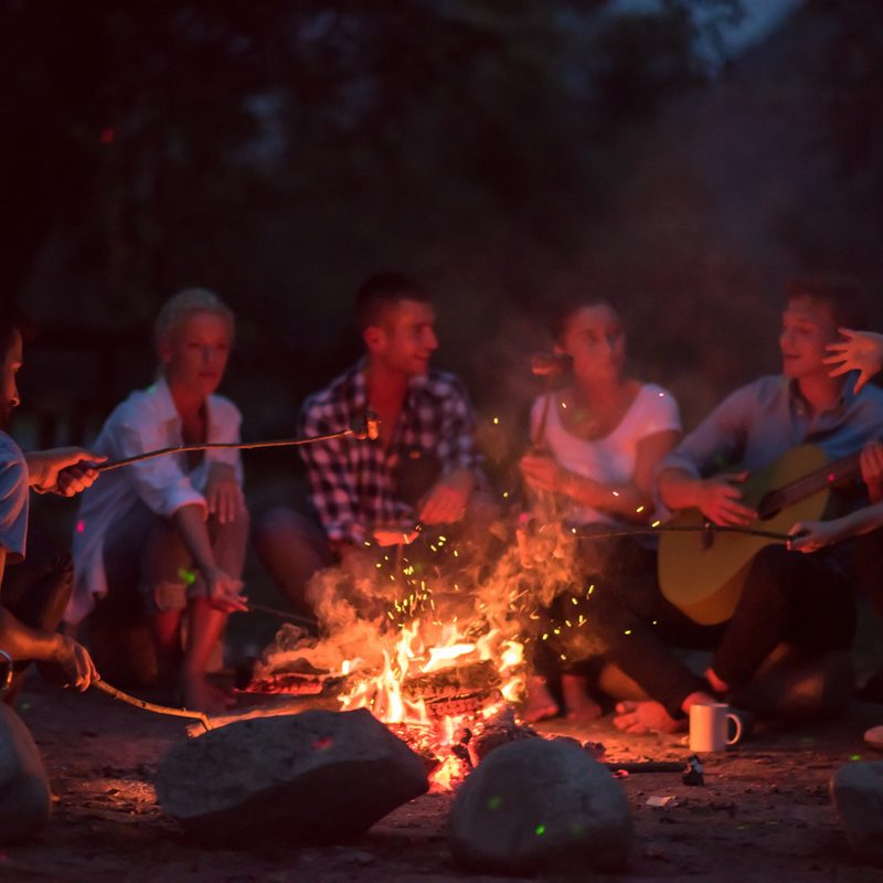 a group of happy young friends relaxing and enjoying summer evening around campfire on the river bank