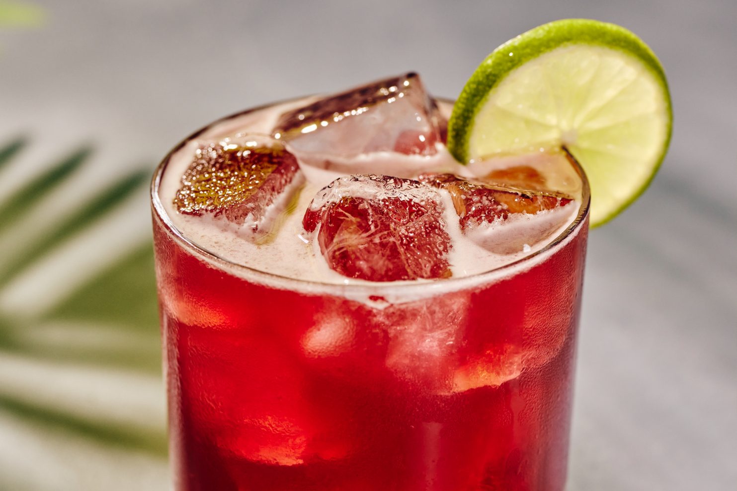 Sorel Hibiscus Margarita.