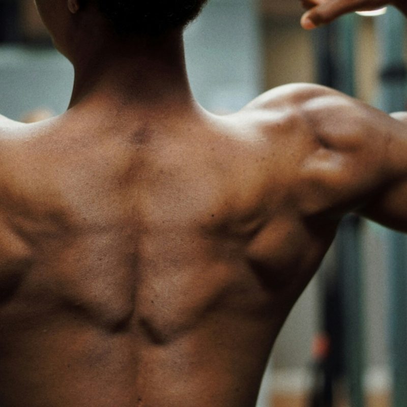 Back muscles