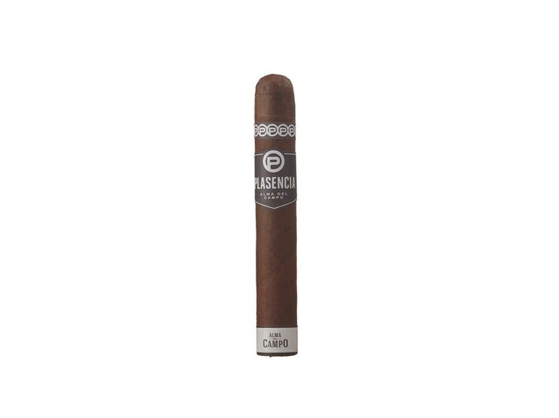 Plasencia Alma del Campo best medium bodied cigars for anytime