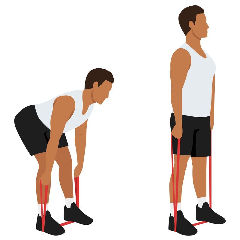 resistance band romanian deadlifts