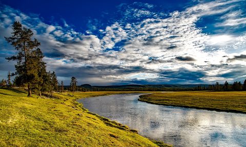 A river flowing through Yellowstone National Park