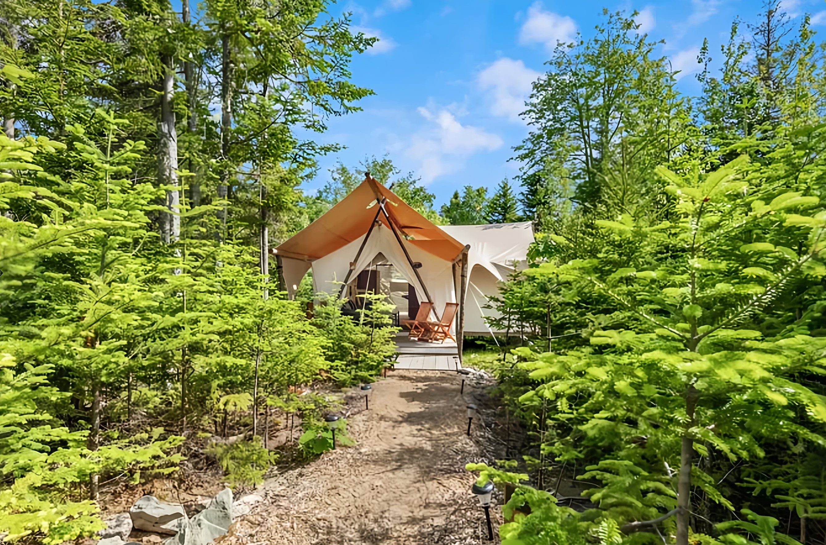 A glamping site located in a gathering of trees