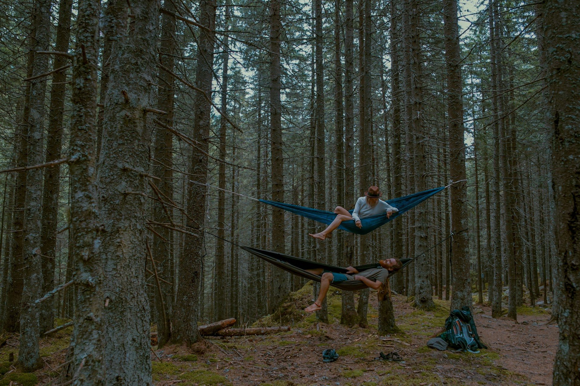 Two men resting in two hammocks in the middle of a tall-growth forest.