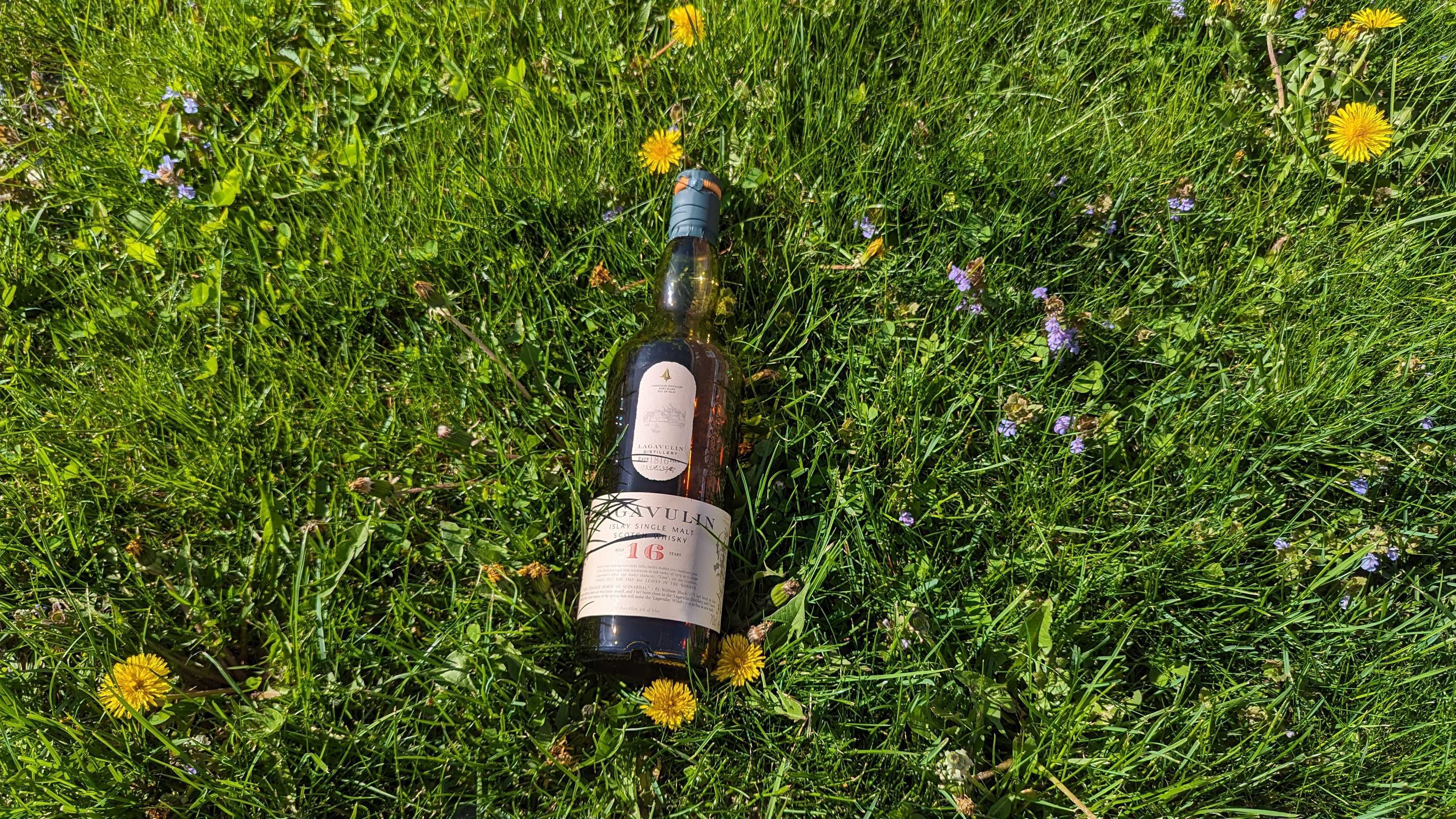 Lagavulin 16 on grass