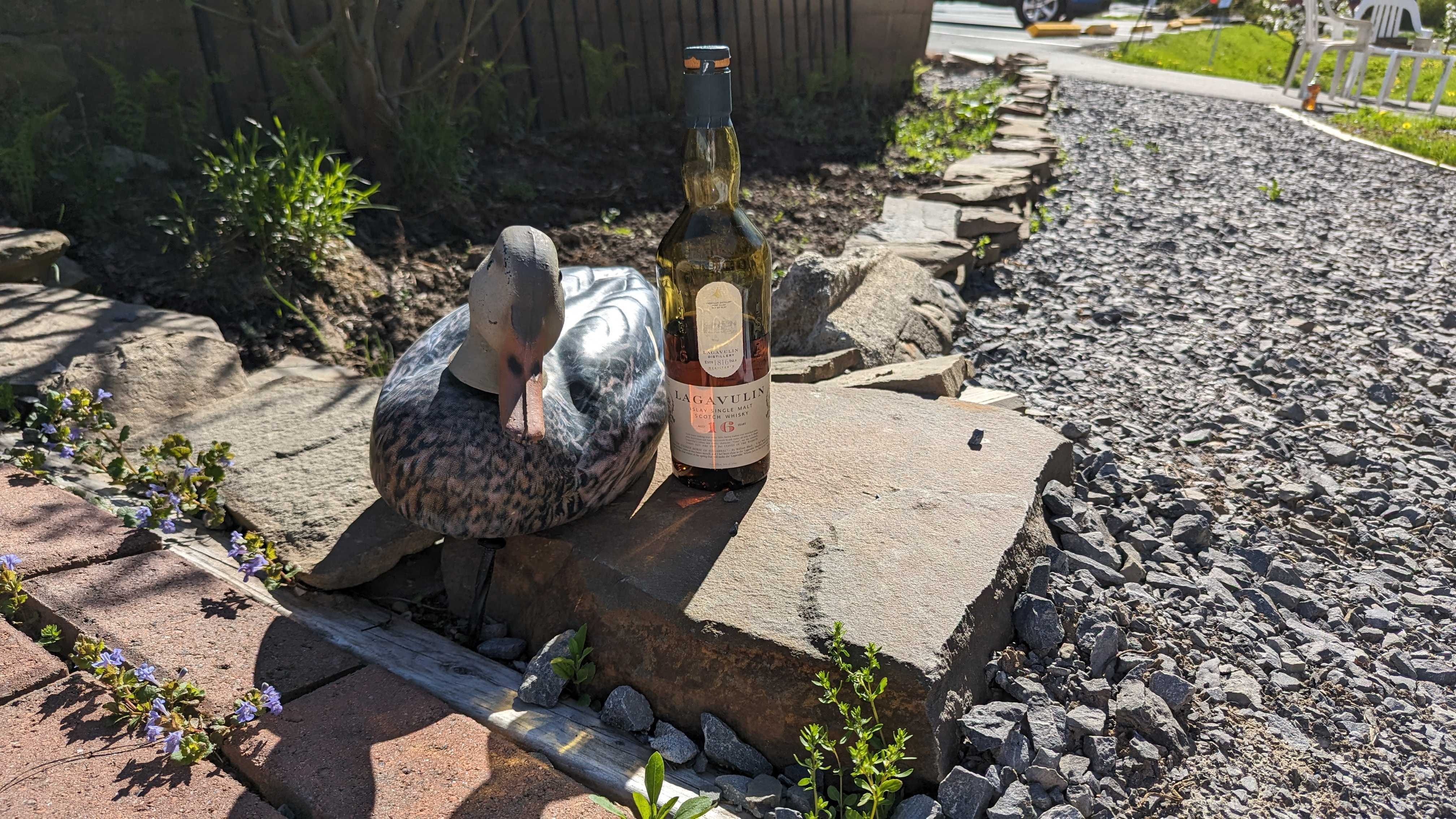 Lagavulin 16 on a slab