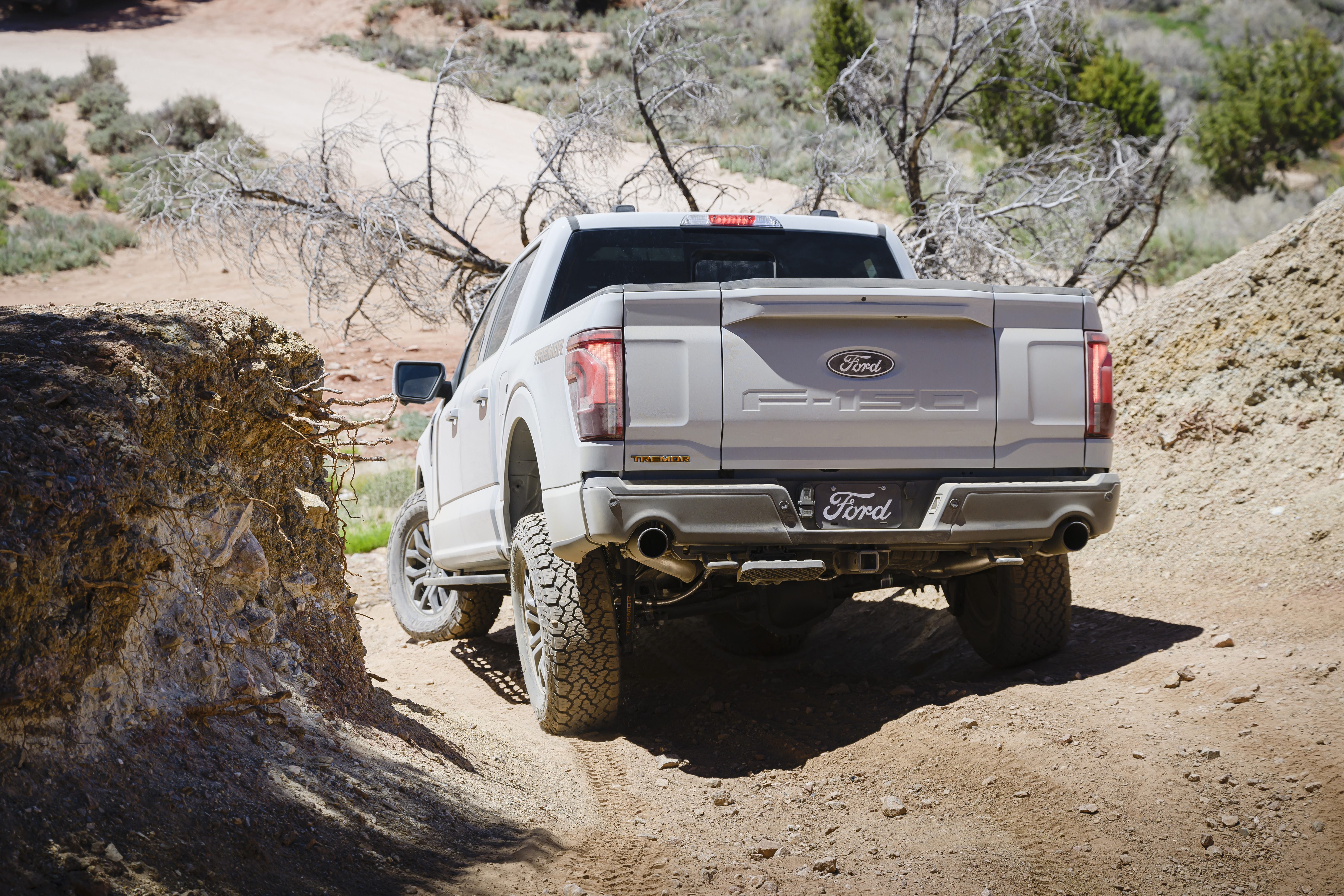 Ford F-150 tremor descending a slope shot from behind
