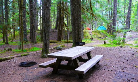 An empty campsite with a picnic table and firepit