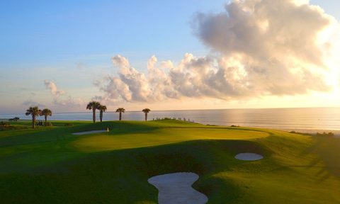 Palm trees by the ocean at Hammock Beach