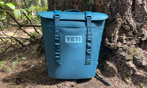 The Yeti Hopper M12 Backpack Soft Cooler sitting against a tree.
