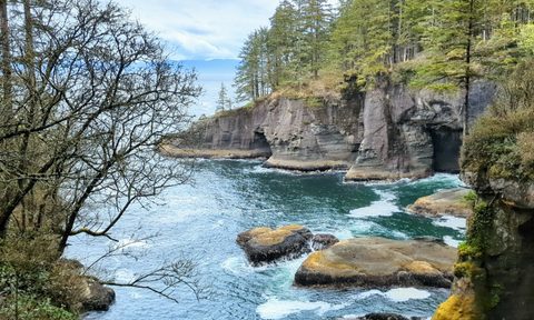 Image of the cape flattery reef at the end of the trail off a cliff