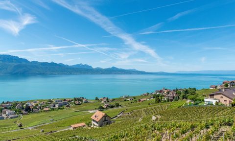 Vaud Switzerland by Lake Geneva