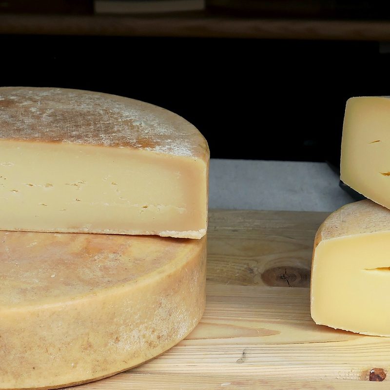 Cheese