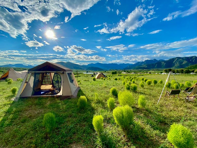 Tents on a field on a sunny day