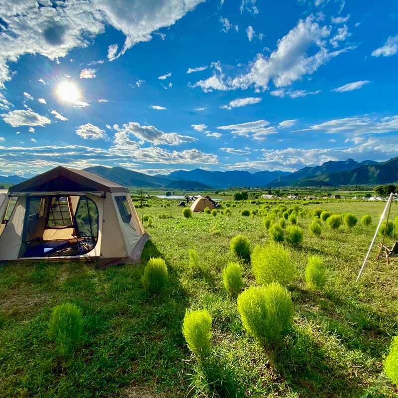 Tents on a field on a sunny day